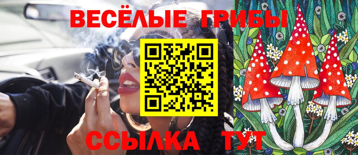 наркота  Вход с VPN  Ревда  Галлюциногенные грибы Cubensis  Псилоцибиновые грибы Psilocybe 